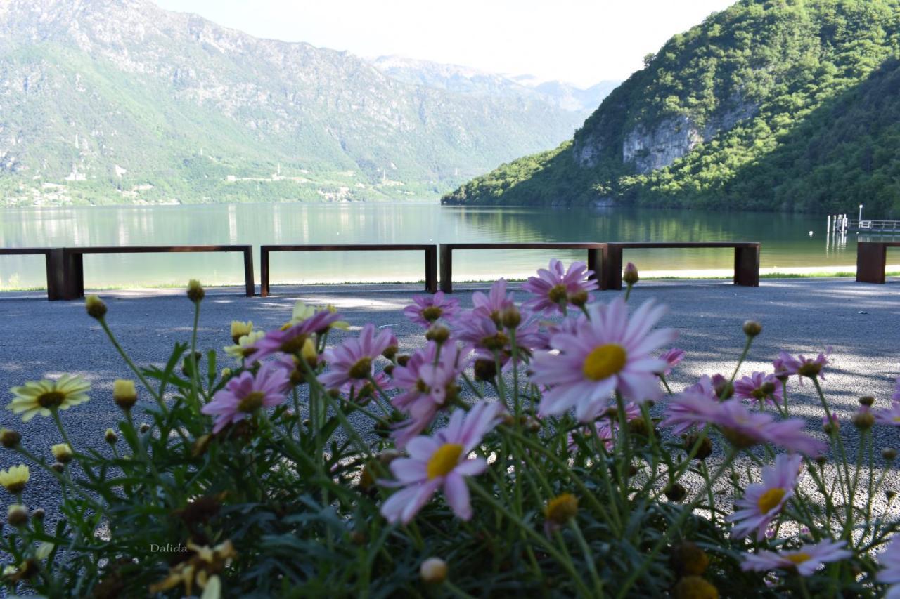 B&B Tulipano Crone Kültér fotó