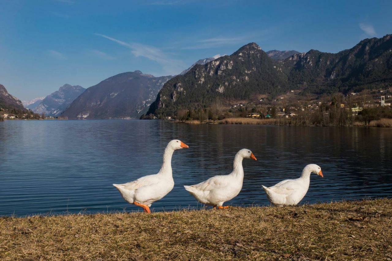 B&B Tulipano Crone Kültér fotó