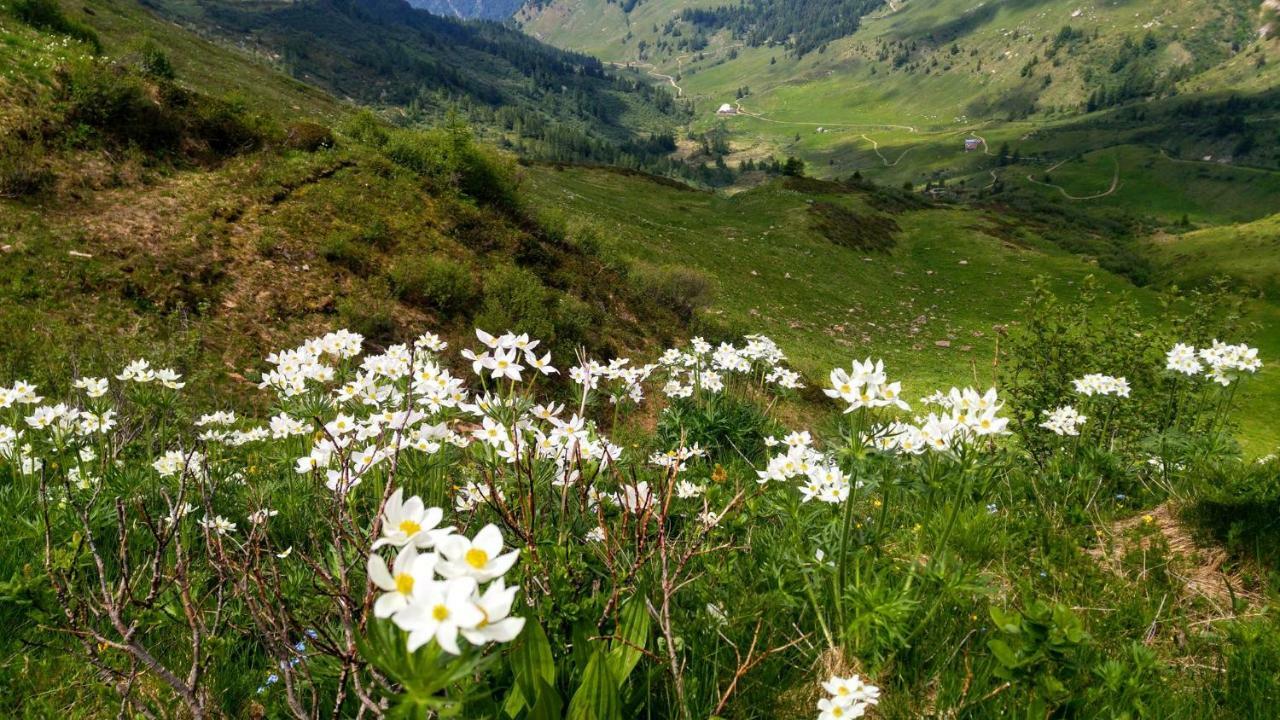 B&B Tulipano Crone Kültér fotó