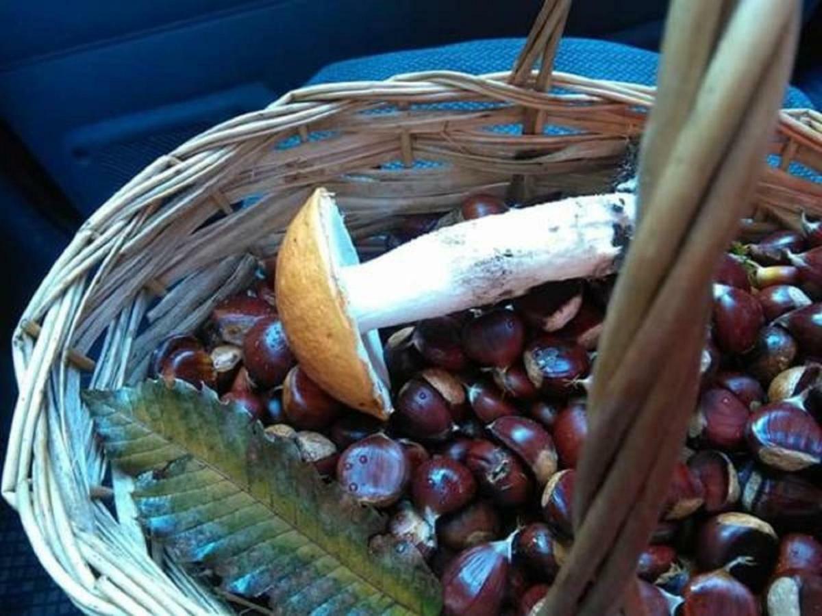 B&B Tulipano Crone Kültér fotó