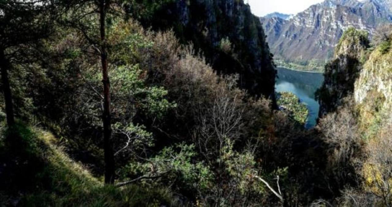 B&B Tulipano Crone Kültér fotó
